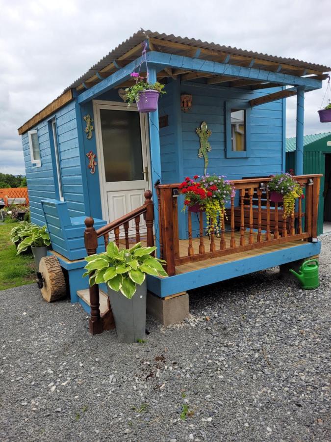 Wedger'S Hut Hotel Nenagh Buitenkant foto